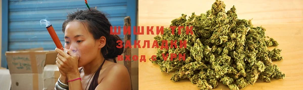 дмт Няндома