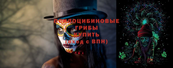 стаф Нязепетровск