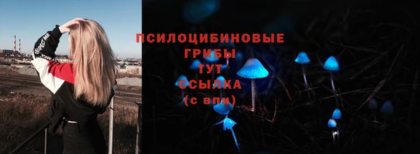 дмт Няндома