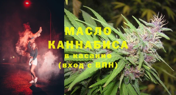 дмт Няндома