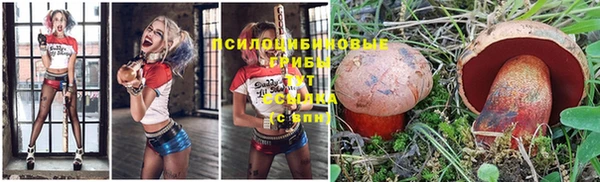 дмт Няндома