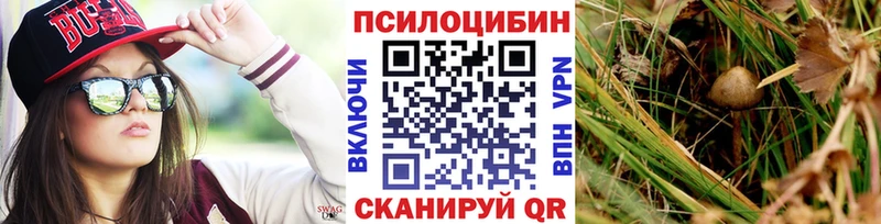 Псилоцибиновые грибы Psilocybe  Бахчисарай 